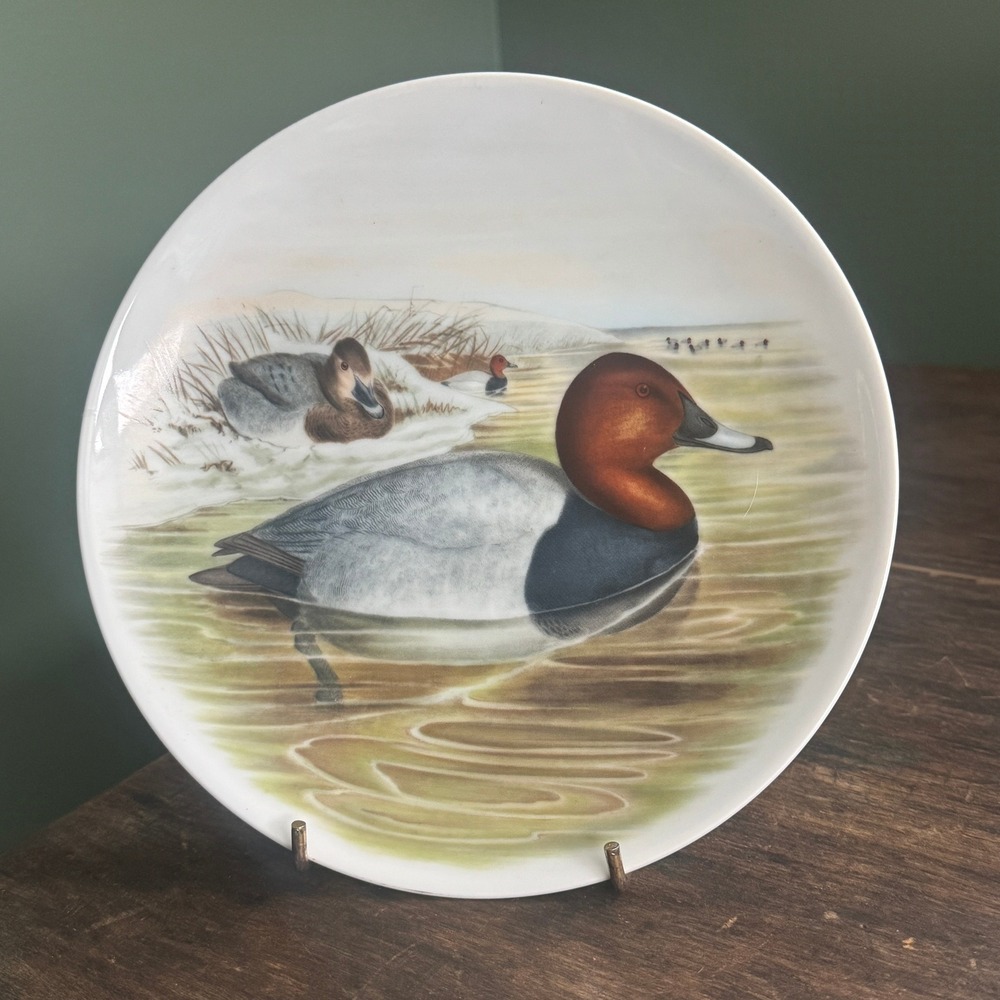 Bavaria JKW Western Germany Red-crested Duck John Gould Porcelain Plate Vintage